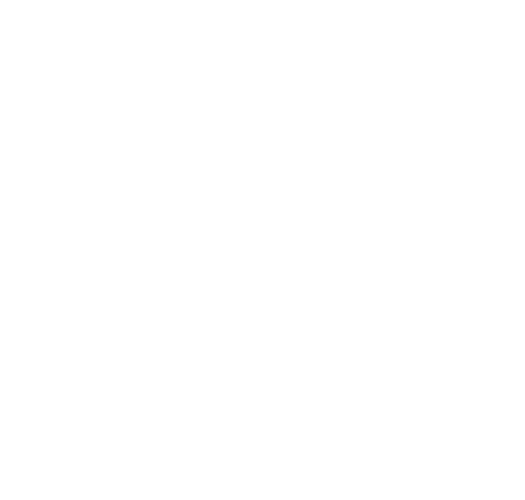 Maverick Festival logo